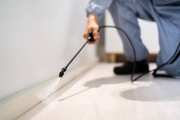 Licensed Termite Control service in Altamont, IL - Nex Pest Control