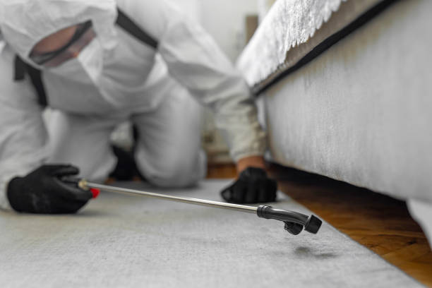 Professional Termite Control technician working in Altamont, IL