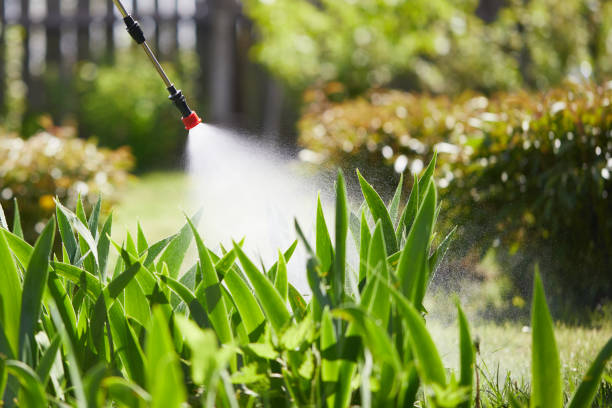 24/7 Emergency Termite Control experts in Altamont, IL